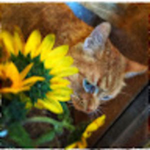 Meet your Posher, Peggy